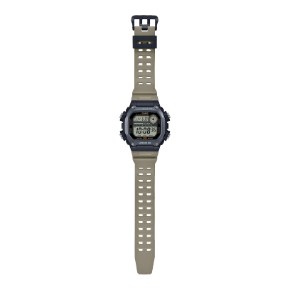 Чоловічий годинник Casio DW-291HX-5AVCF