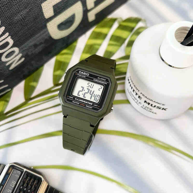 Чоловічий годинник Casio (W-217H-3AVCF, W-217H-3AV)